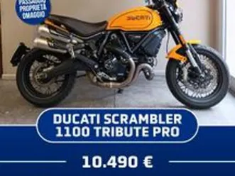 ducati scrambler 1100 tribute pro