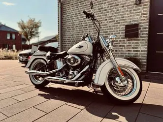 harley-davidson softail