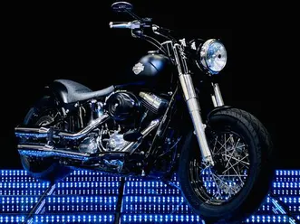 fls softail slim abs
