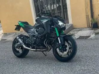 z800e abs 2016