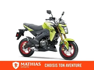 2026 kawasaki z125 pro