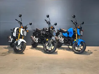 honda msx 125 grom i 2025 | sofort | summer-deals