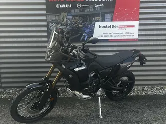 ténéré 700 world raid