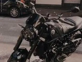 benelli leoncino trail 500