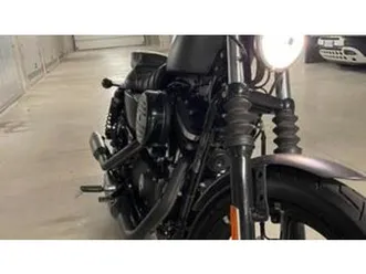 883 iron (2017 - 20) - xl 883n