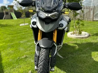 triumph tiger rallye pro