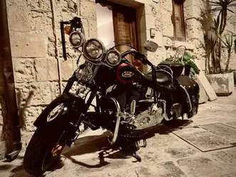 harley-davidson heritage springer