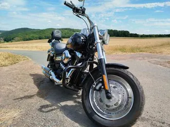 harley fat bob