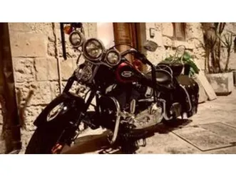 1450 springer (1999 - 00) - fxsts