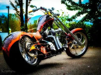 big bear athena/ custom 2009