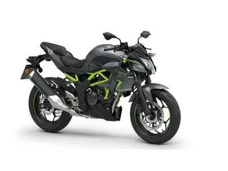 kawasaki z 125 grau