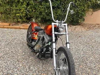 harley davidson softail