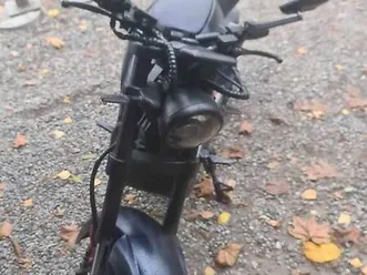 city max canton zurich -