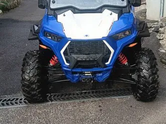 buggy rzr 1000