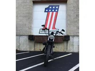 2020 harley-davidson® xl883n - sportster® iron 883™