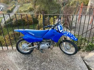 yamaha pit bike ttr 90