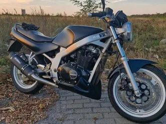suzuki gs500e