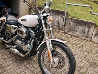 harley-davidson 5hd sportster xl1200l 2006 vergaser