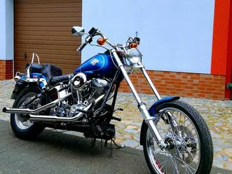 harley davidson softail