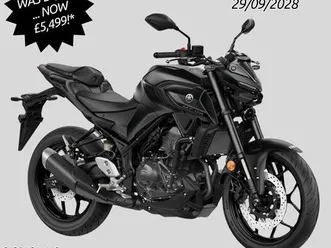 yamaha mt-03 320 cc