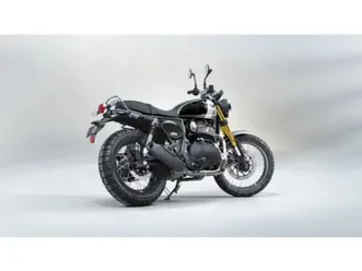2025 royal enfield bear