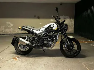 benelli leoncino bianco
