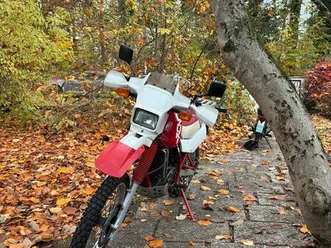 suzuki dr 650 r dakar