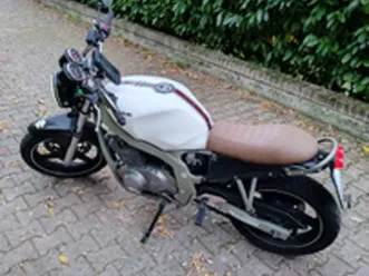 suzuki gs500 2003 scrambler
