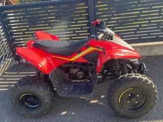 vend quad 2024 cfmoto