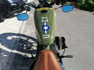 hd sportster iron 883 stage 1