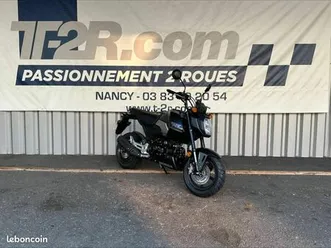 honda msx 125 grom