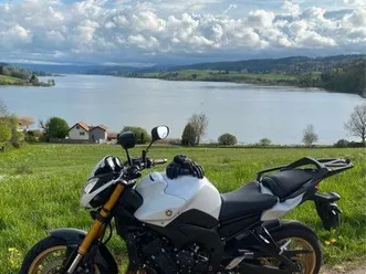 fz8