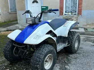 quad 125 breeze