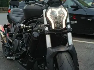 benelli 502 c de 2021 carreira e refojos de riba de ave