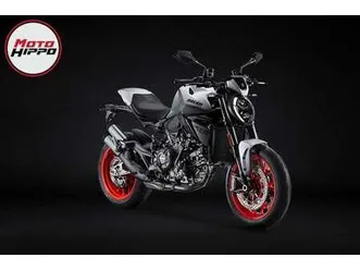 ducati monster v2+ wit