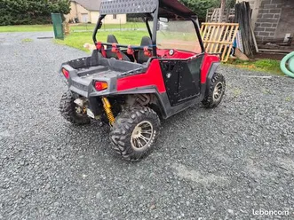 buggy polaris rzr