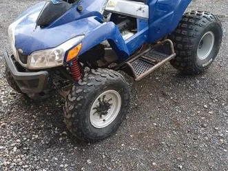 quad sym 250 quadlander