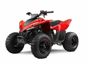 cfmoto cforce 110