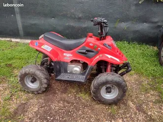 quad 50 cc big foot