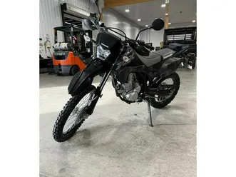 2024 kawasaki klx 300