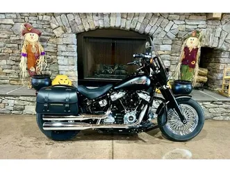 2020 flsl - softail slim