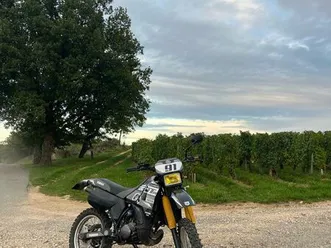 yamaha dtr 125
