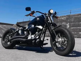 harley davidson softail cross bones flstsb