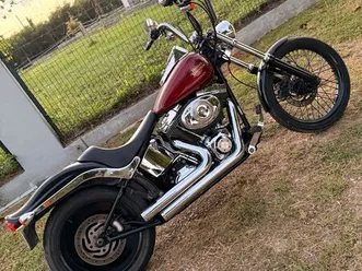harley davidson softail standard