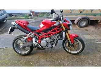 donnervogel zum winterpreis!