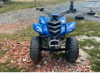 quad 80 yamaha raptor