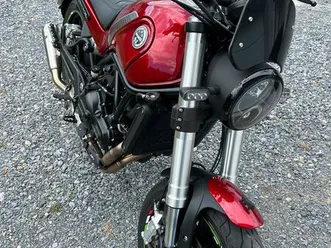 benelli leoncino 500