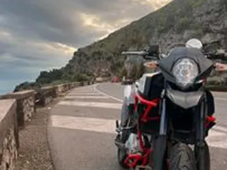 swm superdual t 600 2019