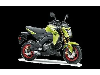 2026 kawasaki z125 pro