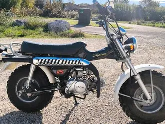 moto t-rex 125 skyteam